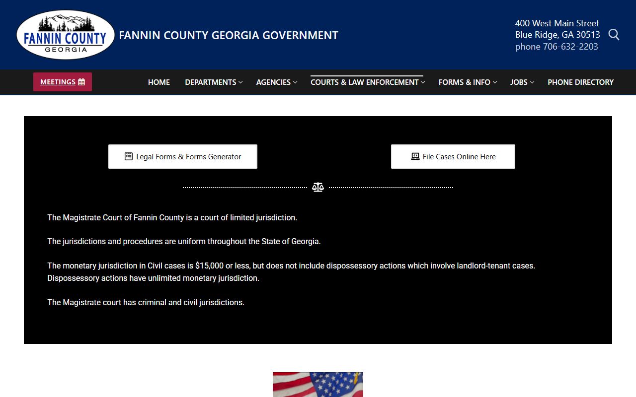 Fannin County Magistrate Court warrant and first appearance records