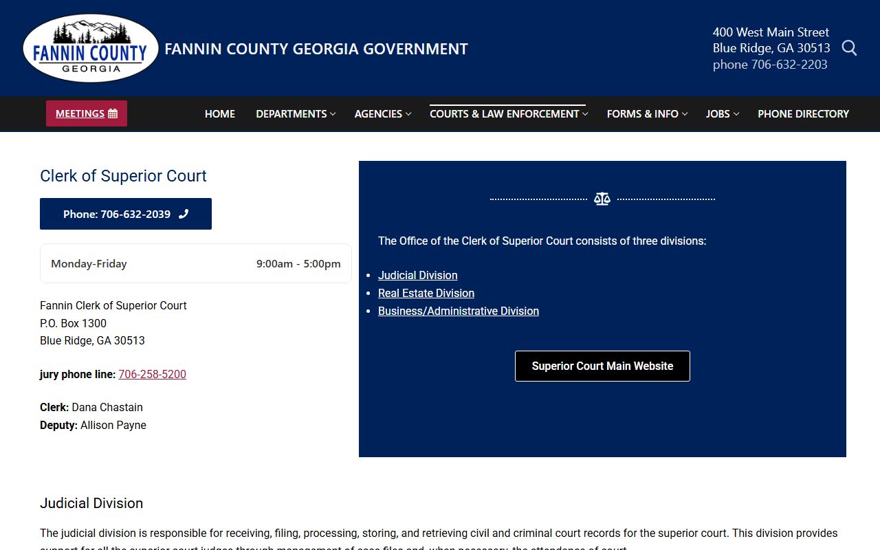Fannin County Superior Court Clerk criminal records page